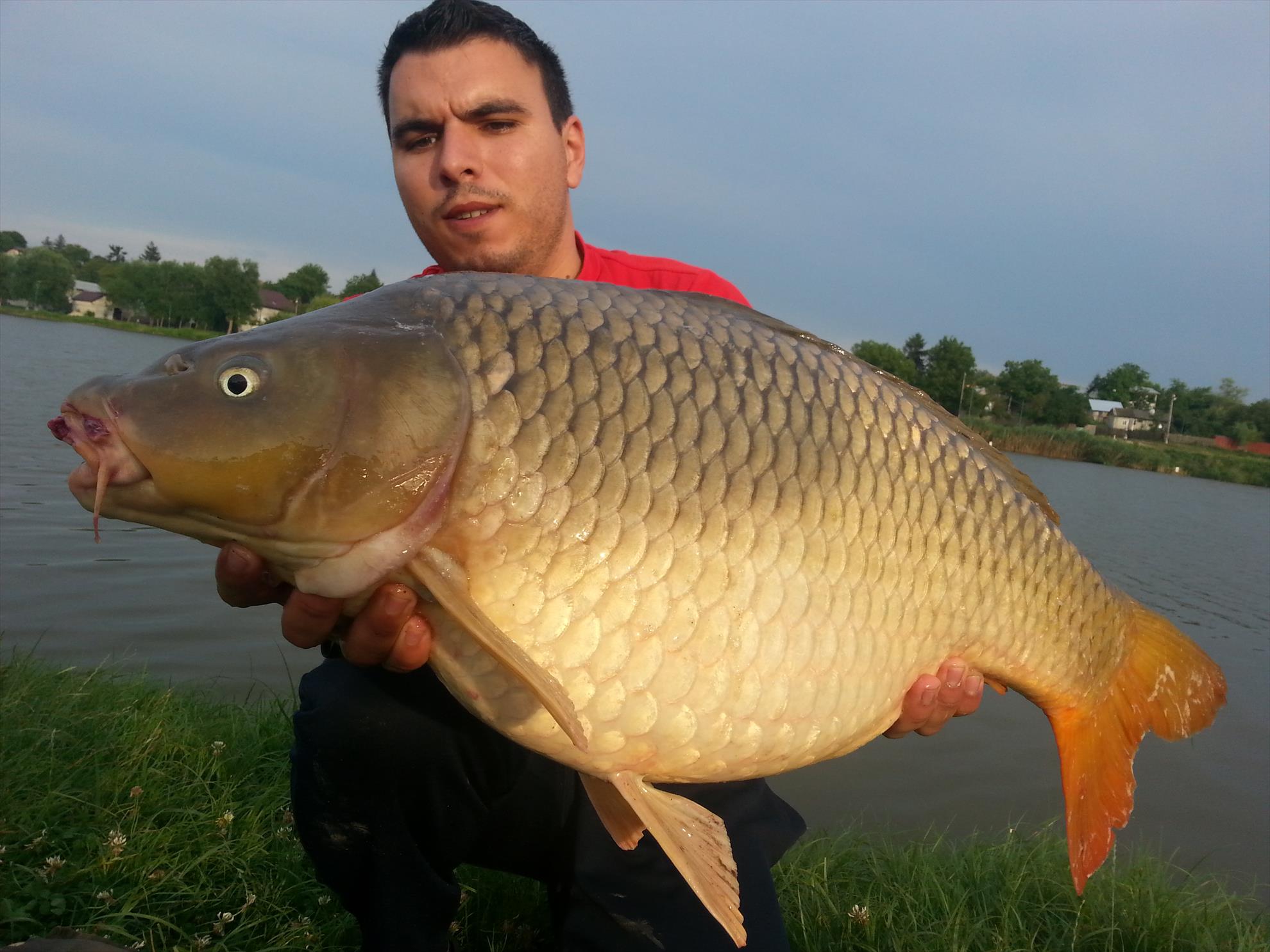 Moara Vlasiei 2 15 - 16 iulie 2014 - 20140715192756.jpg